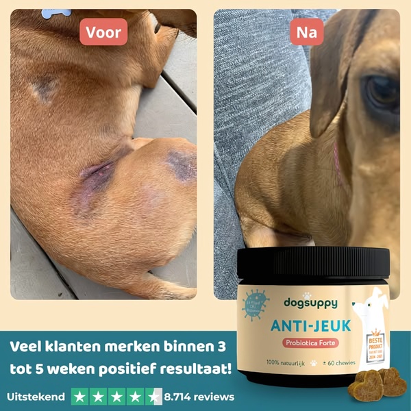 A square ad creative featuring a split-screen visual of a dog's skin improvement, paired with a testimonial-driven claim about product effectiveness.